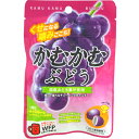 140円 三菱 かむかむぶどう [1箱 10個入]【お菓子 小袋 吊り下げ カムカム 葡萄 グレープ ポイント消化 まとめ買い 箱買い】