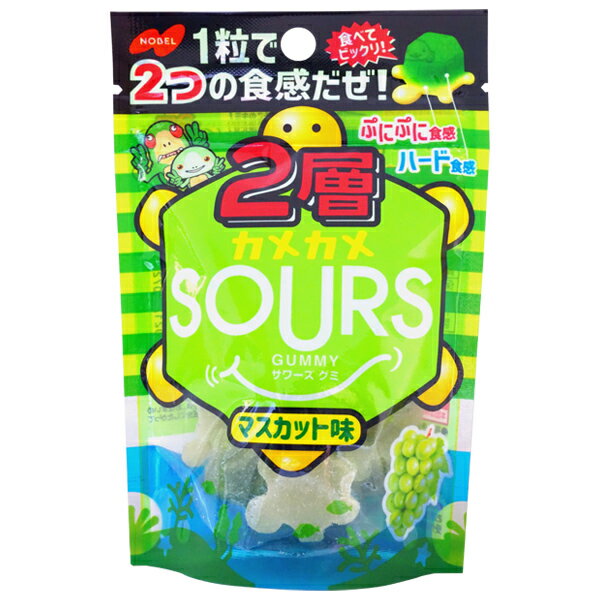 130円 ノーベル 45g2層カメカメサワーズマスカット[1箱 6個入] 【グミ ぶどう マスカット お菓子 まとめ買い】