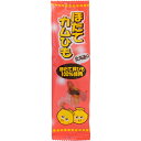 33円 ケイエス ほたてカムひも [1袋 20個入]【駄菓子 お菓子 つまみ 珍味 まとめ買い 箱買い ポイント消化 おやつ】