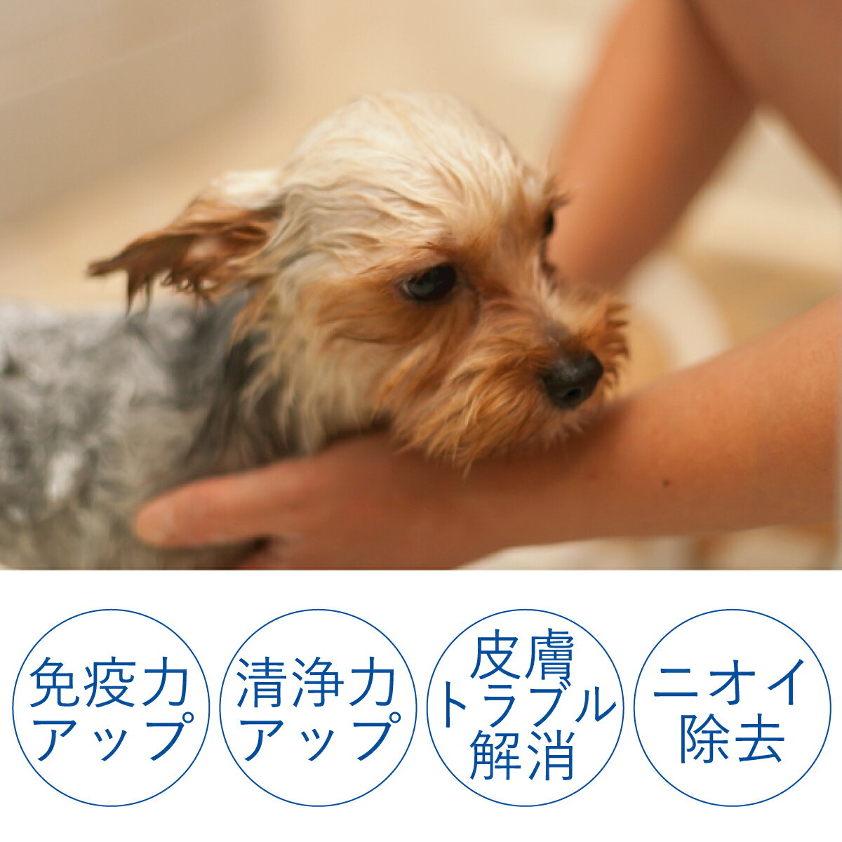 炭酸泉タブレット(ワンちゃん用)5gtimes;20錠