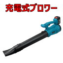 充電式ブロワー コードレスブロワー 充電式ブロアー ハイパワー ブロアー ロワ 掃除機 送風機 洗車 落ち葉集め 吹き飛ばし ハイパワーブロワー 強力 集塵機 充電器付き 落ち葉 枯葉車 除塵 除雪 ブロワ 家庭用 落葉掃除 車の掃除 ケースのほこり 工業掃除 家庭の掃除(4)