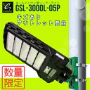 ※/GSL-3000L-05P 小さな傷ありアウトレット商品限定数 グリーンエネポール ソーラー街灯 ソーラーライト センサー ライト 屋外 人 感 センサー 防犯 防災 防水 LED 駐車場 穴あけ不要 ステンレス取り付け金具付