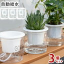 【 楽天1位受賞 】 植木鉢 スタイリッシュデザイン 自動給水 プランター フラワー ポット SW1677 平底 3個セット