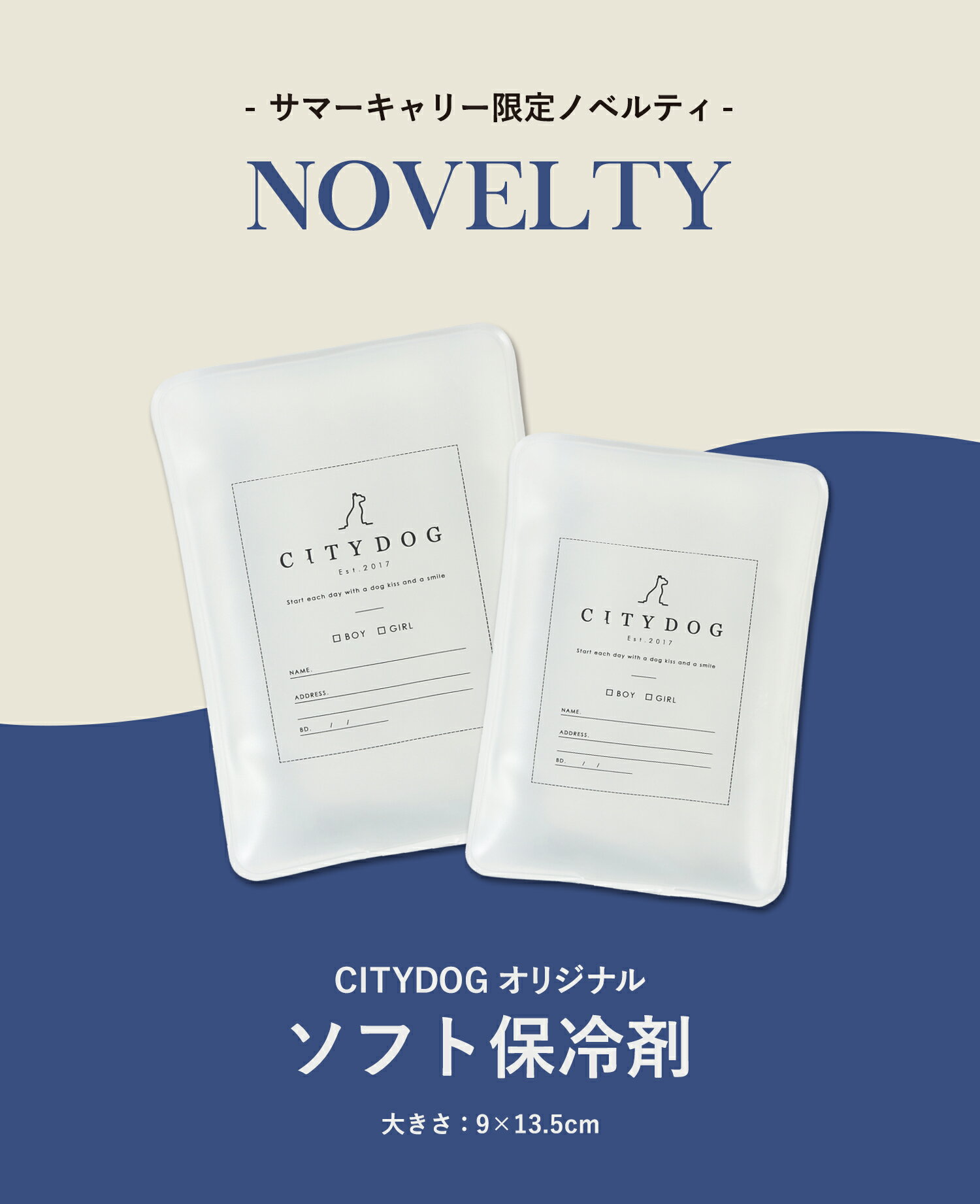 ★期間限定ポイント2倍★ 犬 キャリーバッグ おしゃれ │ 猫 キャリーケース バック キャリー トート メッシュ 通気性 涼しい シンプル 収納 小型犬 中型犬 電車 散歩 防災 軽い ショルダー 保冷剤付き │ 【 citydog / シティドッグ 】 ライトメッシュキャリー 2