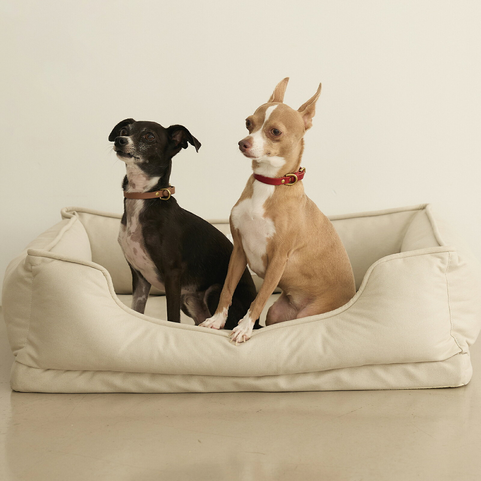 CITYDOG ラウンジベッド