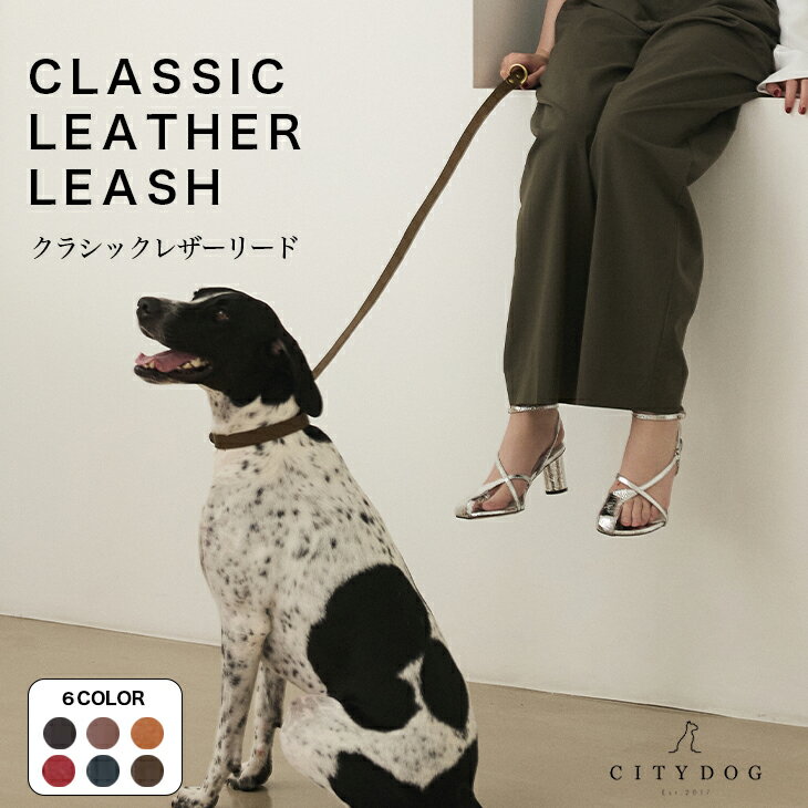 犬 リード おしゃれ | 本革 革 猫 ペット 伸縮 お洒落 ハーネス 首輪 シンプル 大型犬 中型犬 小型犬 国産 日本製 牛革 職人 おでかけ 散歩 高品質...