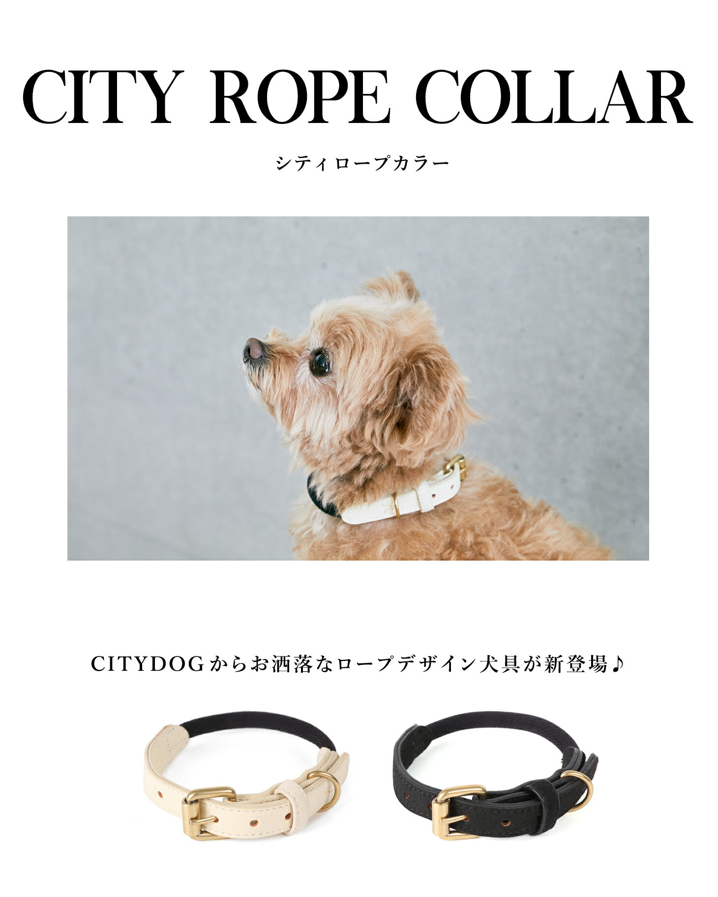 【送料無料】citydog シティ ロープ カラー 首輪 ｜ CITY ROPE COLLAR リード ロープ 犬 猫 ペット 犬具 軽量 伸縮 おしゃれ お洒落 ハーネス 首輪 シンプル 2頭引き 多頭 中型犬 小型犬 おでかけ 散歩 高品質 高級 安全 可愛い かっこいい 上品 プレゼント ギフト 迷子札