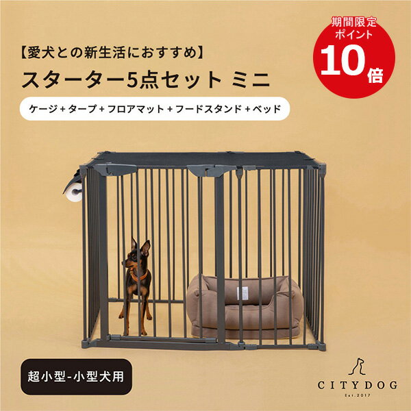 ワンちゃんお迎えセット一式（未使用）