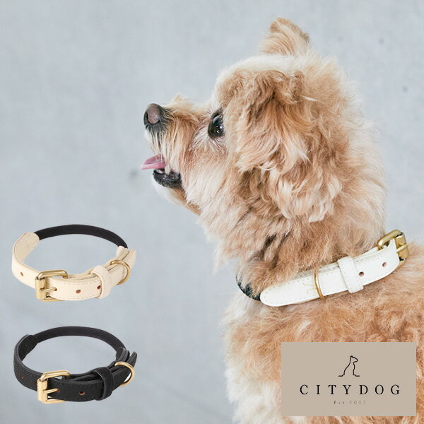 【送料無料】citydog シティ ロープ カラー 首輪 ｜ CITY ROPE COLLAR リード ロープ 犬 猫 ペット 犬具 軽量 伸縮 おしゃれ お洒落 ハーネス 首輪 シンプル 2頭引き 多頭 中型犬 小型犬 おでかけ 散歩 高品質 高級 安全 可愛い かっこいい 上品 プレゼント ギフト 迷子札