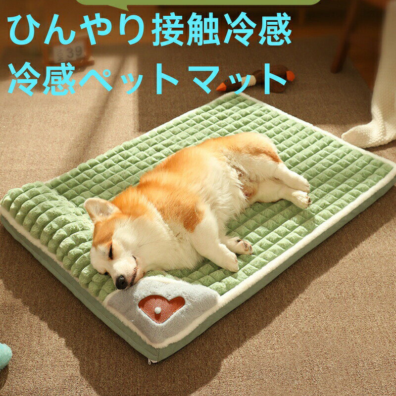 商品詳細カラー:/グレー/コーヒー/グリーンサイズ:/M/L/XL/3XL----------商品説明適切な温度なので、パピー、成犬、シニアの各年代に合わせて選べる起き上がりが楽なベッド。愛犬愛猫に質の高い睡眠環境をぐ作ることができます。やさしい肌触りで丸まりやすく、わんちゃんねこちゃんが気持ちよく過ごせます。----------商品仕様モデル1M:50cmx35cmL:60cmx40cmXL:75cmx45cm3XL:100cmx70cmモデル2M:50cmx40cmL:60cmx45cmXL:75cmx55cm3XL:100cmx75cm素材:ポリエステル、その他----------生産の関係により写真と色、柄が若干異なる場合があります。生産時期によりサイズ表にご案内の数字に誤差があります。また商品毎に個体差がございます。ご了承お願いいたします。ペットベッド マット 夏用 犬ベッド 犬用品 ベッド マット 寝具 マット 人気 グリーン(モデル1) コーヒー(モデル1) グレー(モデル1) グリーン(モデル2) グレー(モデル2) ライトブルー(モデル2) M L LL 2XL