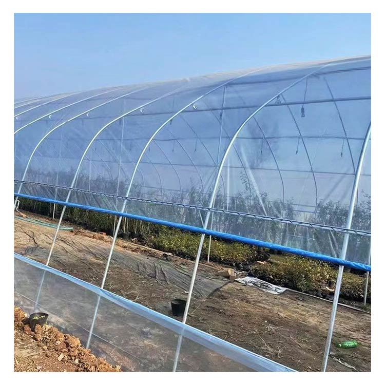 厚さ0.1mm×幅6m×長さ10m ビニールシート 屋根用ハウスビニール ビニールハウス用 ...