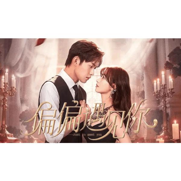 原題：偏偏遇収録話数：全24話音声:中国語字幕:日本語TYPE B : Blu-rayディスク1枚キャスト：「シュ・シンシン（徐星星）」「チェン・ハオラン（昊然）」あらすじ：病気の祖母を救うためユン・チンヨウは運命のような出来事からシュ・ジュンムーと強制的に結婚することに。最初は不本意だった関係も絆と理解を育み、陰謀を乗り越えながら愛と新しい人生を築いていく現代ラブストーリー。商品保障について※注文後のキャンセル対応はいたしかねます。※ケース/箱破損は保障対象外です。※再生不良の場合はメールまたはお問い合わせフォームにてご連絡ください。