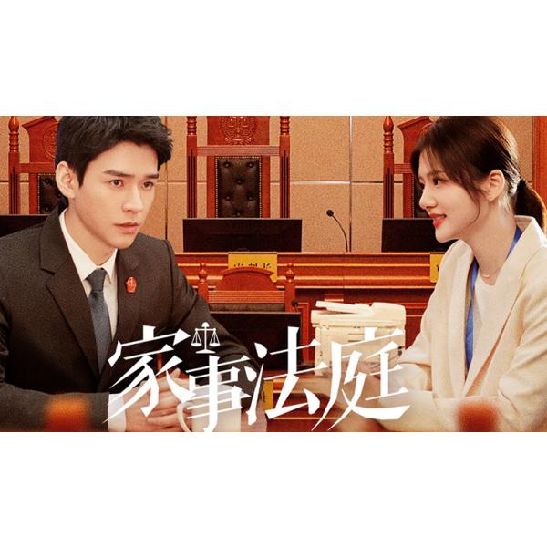 日本語字幕 中国ドラマ「家事裁判所」blu-ray