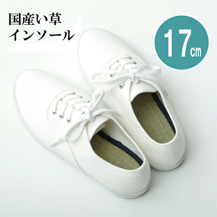 インソール ジュニア 消臭 抗菌 い草インソール ネイビー 約17cm 中敷き なかじき ナカジキ 足 疲れ 消臭 湿度調整 日本製