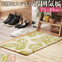 玄関マット 室内 洗える 玄関マット 〔エルブ〕 75x45cm 屋内 長方形 柄 おしゃれ エントランスマット マット ラグマット ウォッシャブル 滑り止め 防ダニ スミノエ 日本製(3)
