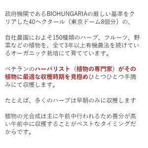 他社製品と比較