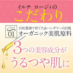 愛用者の声