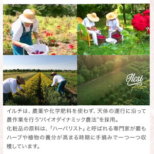 海外モデル芸能人使用スカルプ美容液白髪頭皮保湿化粧水乾燥対策スキャルプ髪40代50代60代の為の育毛剤地肌薄毛スカルプアウトバススカルプケア頭皮美容液マッサージセラム頭皮マッサージ洗い流さないトリートメントうねりくせ毛地肌スキンケア