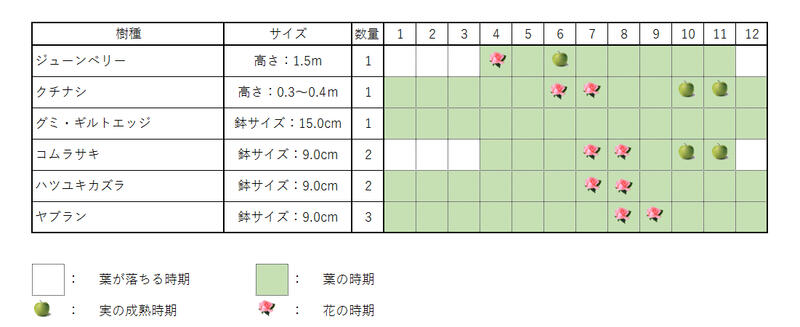 ジューンベリーセット2　　　ジューンベリー(樹高約1.5m) クチナシ(樹高約0.4m) グ...