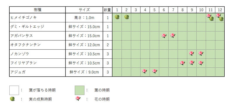 【ヒメイチゴノキセット1】　ヒメイチゴノキ(樹高約1m) グミ・ギルトエッジ(15cmポット) アガパンサス(15cmポット) オタフクナンテン(12cmポット) ノカンゾウ(10.5cmポット) フイリヤブラン(10.5cmポット) アジュガ(9cmポット)　庭木・植栽セット