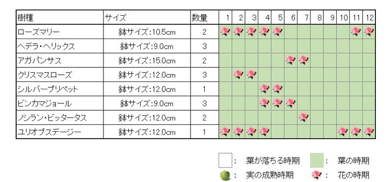 【洋風ナチュラルガーデン】ローズマリー(10.5cmpot) ヘデラヘリックス(9cmpot) アガパンサス(15cmpot) クリスマスローズ(12cmpot) シルバープリペット(12cmpot) ビンカマジョール(9cmpot) ノシランビッタータス(12cmpot) ユリオプスデージー(12cmpot) 庭木・植栽セット