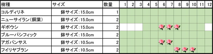 【コルディリネセット】　コルディリネ(15cmポット) ニューサイラン銅葉(15cmポット) ギボウシ(15cmポット) ブルーパシフィック(15cmポット) アガパンサス(10.5cmポット) フイリヤブラン(10.5cmポット) 庭木・植栽セット