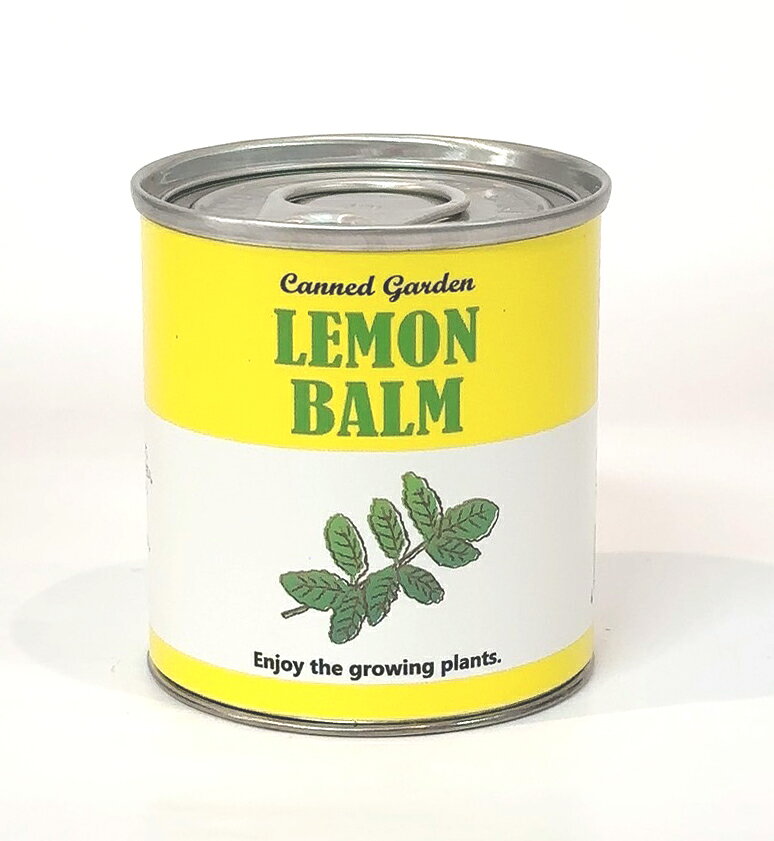 Garden Shop OHANAのCanned garden　Sサイズ　栽培キット　簡易ラッピング対応｜アングル2
