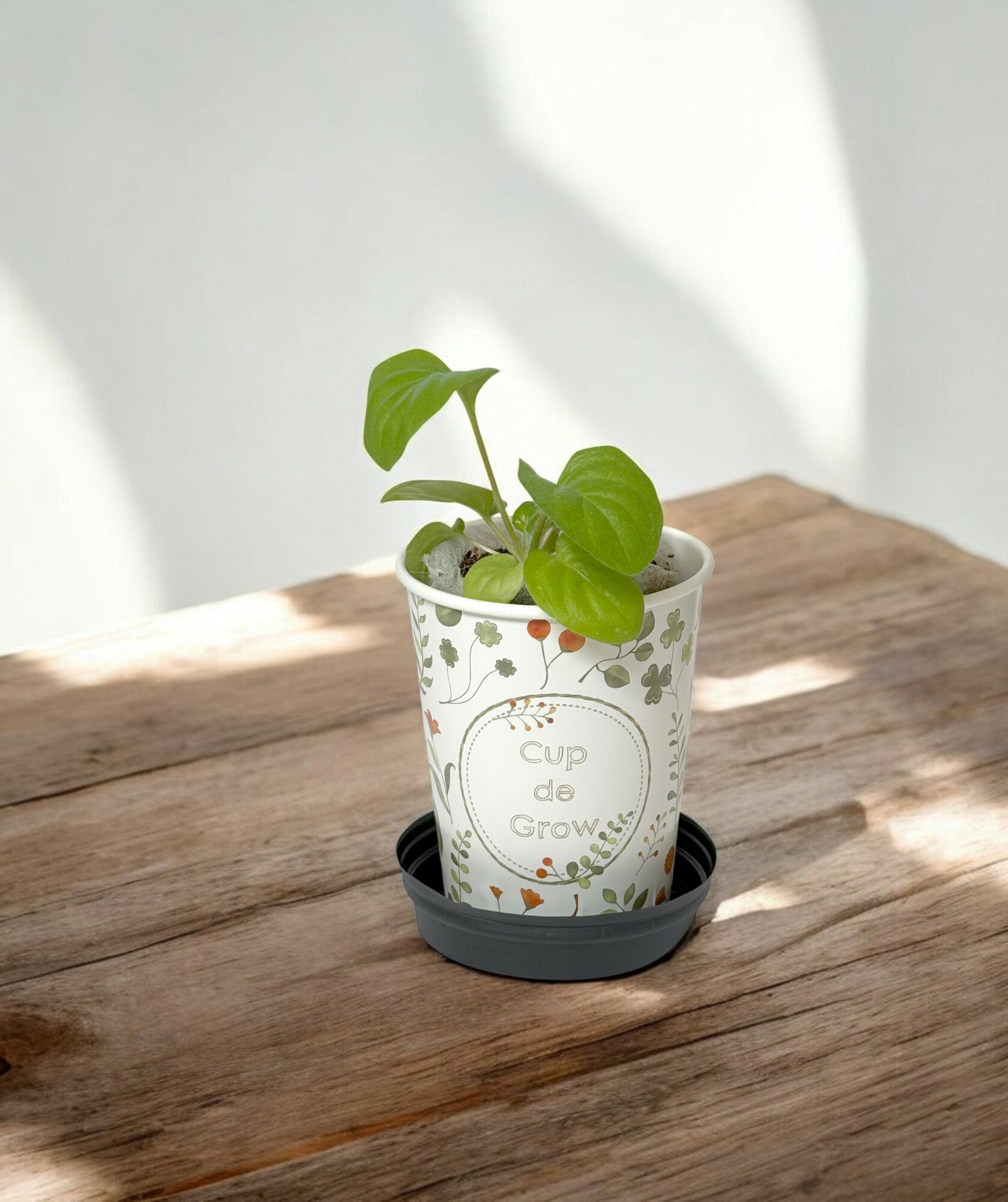 ���åפǥ�������Cup de gro���� �ϡ��� ����С��� ����ߡ��� �Х��� �����ꥢ��ѥ��� ������ ���ݥ��å�