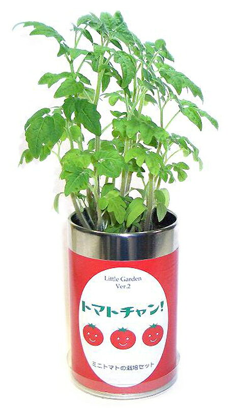 リトルガーデンVer．2　トマトチャン　ミニトマト 栽培キット