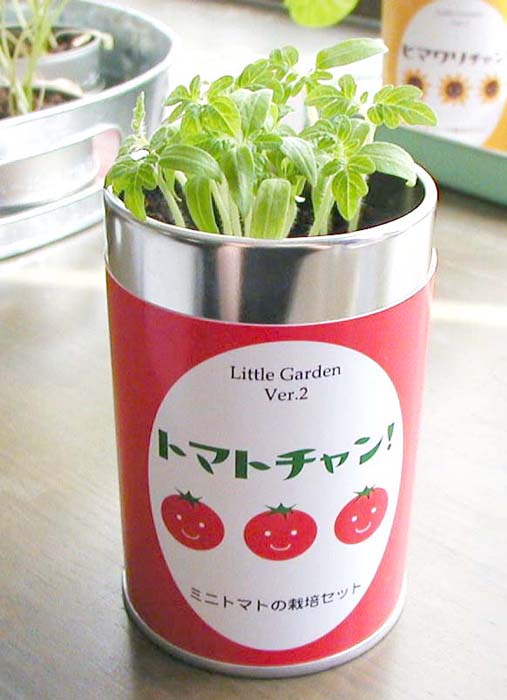 リトルガーデンVer．2　トマトチャン　ミニトマト 栽培キット