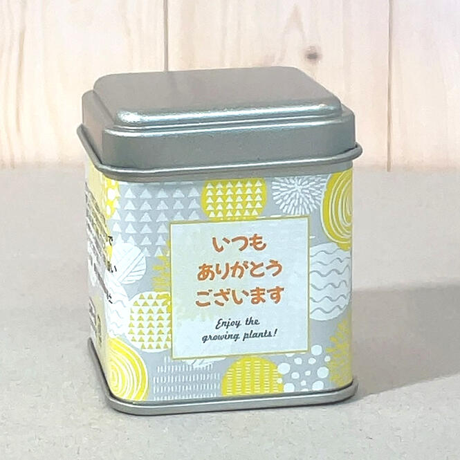 プチギフト パームガーデン　メッセージ＆簡易ラッピング付き　小さな栽培セット ...