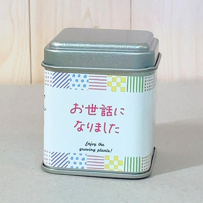 プチギフト パームガーデン　メッセージ＆簡易ラッピング付き　小さな栽培セット ...
