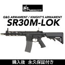 G&G SR30 M-LOK KNIGHT'S SERIES 電動ガン 電動エアガン G&G ARMAMENT