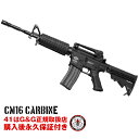 G&G CM16 Carbine 東京マルイ BB弾も使用可 アサルトライフル 電動ガン エアガン エアーガン 海外製 18歳以上 物理トリガー サバゲー サバイバル ゲーム タクティカル　ジーアンドジー