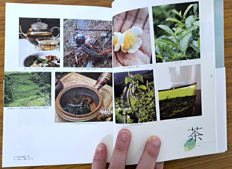 【書籍】『8つの和ハーブ物語』〜忘れられた日本の宝物〜 日本和ハーブ協会 和紅茶 3