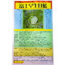 富士早生甘藍 国内採種品 ふじわせかんらん キャベツ Early Fuji Cabbage / アブラナ科 Brassica oleracea 野菜の種 野口種苗 野口の種 家庭菜園 有機栽培 ガーデニング 農業 園芸 無農薬 伝統野菜 在来種 プランター 安心 安全 ポタジェ ベランダ園芸