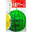 大和クリーム西瓜 国内採種品 やまとくりーむすいか Yamato Cream Watermelon / ウリ科 Citrullus lanatus 野菜の種 野口種苗 野口の種 家庭菜園 有機栽培 ガーデニング 農業 園芸 無農薬 伝統野菜 在来種 プランター 安心 安全 ポタジェ ベランダ園芸