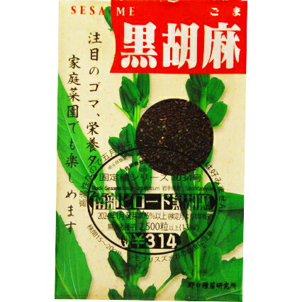 黒ゴマ くろごま 国内採種品 Nanbu Velvet Black Sesame / ゴマ科 Sesamum indicum L. 野菜の種 野口種苗 野口の種 家庭菜園 有機栽培 ガーデニング 農業 園芸 無農薬 伝統野菜 在来種 プランター 安心 安全 ポタジェ ベランダ園芸