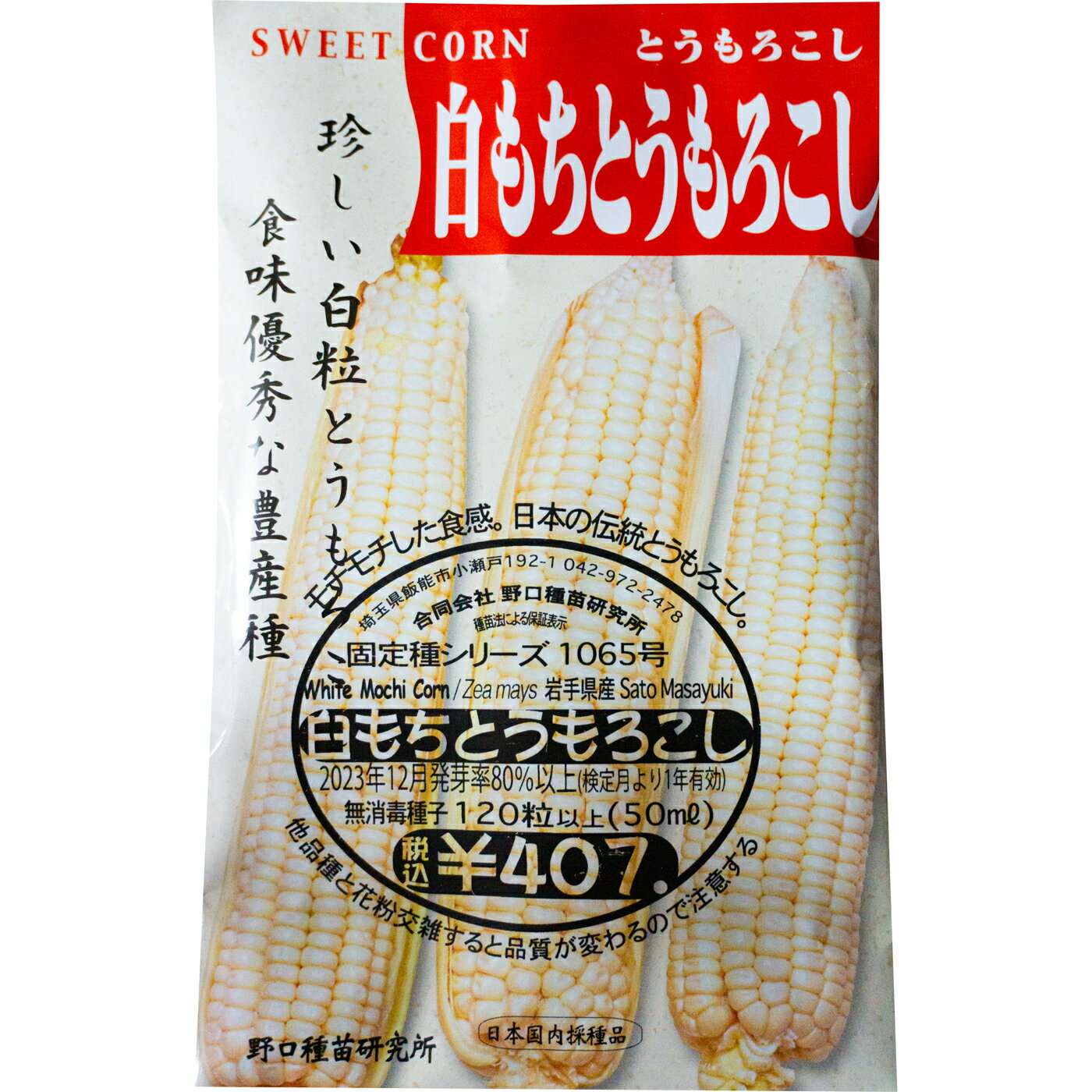 白もちとうもろこし 国内採種品 White Mochi Waxy Corn / イネ科 Zea mays L.var.tunica 野菜の種 野口種苗 野口の種 家庭菜園 有機栽培 ガーデニング 農業 園芸 無農薬 伝統野菜 在来種 プランター 安心 安全 ポタジェ ベランダ園芸