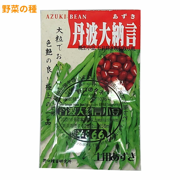 丹波大納言小豆 国内採種品 たんばだいなごんあずき Tanba Dainagon Azuki Bean / マメ科 Vigna angularis 野菜の種 野口種苗 野口の種 家庭菜園 有機栽培 ガーデニング 農業 園芸 無農薬 伝統野菜 在来種 プランター 安心 安全 ポタジェ ベランダ園芸