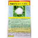 野崎早生カリフラワー 種子消毒あり 国内採種品 のざきわせかりふらわー Early Nozaki Cauliflower / アブラナ科 Brassica olerancea L. Botrytis 野菜の種 野口種苗 野口の種 家庭菜園 有機栽培 ガーデニング 農業 園芸 無農薬 伝統野菜 在来種 プランター 安心 安全