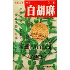 白ゴマ しろごま 国内採種品 White Sesame / ゴマ科 Sesamum indicum L. 野菜の種 野口種苗 野口の種 家庭菜園 有機栽培 ガーデニング 農業 園芸 無農薬 伝統野菜 在来種 プランター 安心 安全 ポタジェ ベランダ園芸