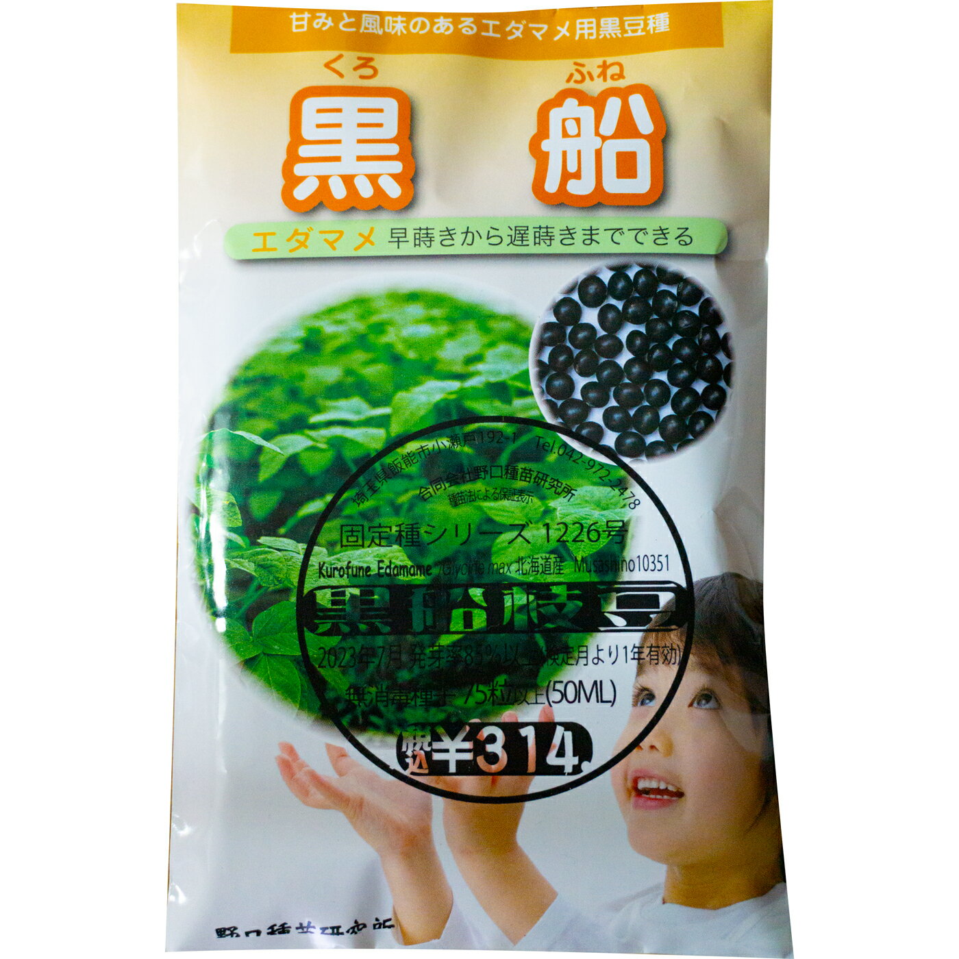 黒船枝豆 国内採種品 くろふねえだまめ Kurofune Edamame / マメ科 Glycine max 野菜の種 野口種苗 野口の種 家庭菜園 有機栽培 ガーデニング 農業 園芸 無農薬 伝統野菜 在来種 プランター 安心 安全 ポタジェ ベランダ園芸