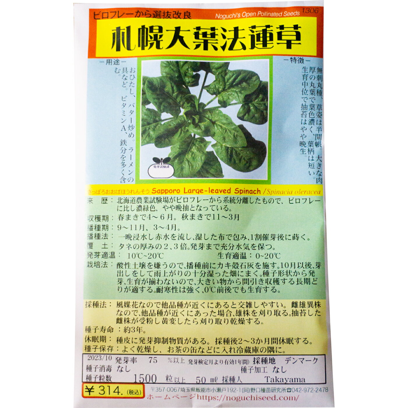 札幌大葉法蓮草 さっぽろおおばほうれんそう Sapporo Large-leaved Spinach /ヒユ科 Spinacia oleracea 野菜の種 野口種苗 野口の種 家庭菜園 有機栽培 ガーデニング 農業 園芸 無農薬 伝統野…