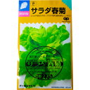 サラダ春菊 種子消毒あり 国内採種品 (Tiger Ear) Salad Shungiku 'Tiger Ear' / キク科 Glebionis coronaria 野菜の種 野口種苗 野口の種 家庭菜園 有機栽培 ガーデニング 農業 園芸 無農薬 伝統野菜 在来種 プランター 安心 安全 ポタジェ ベランダ園芸