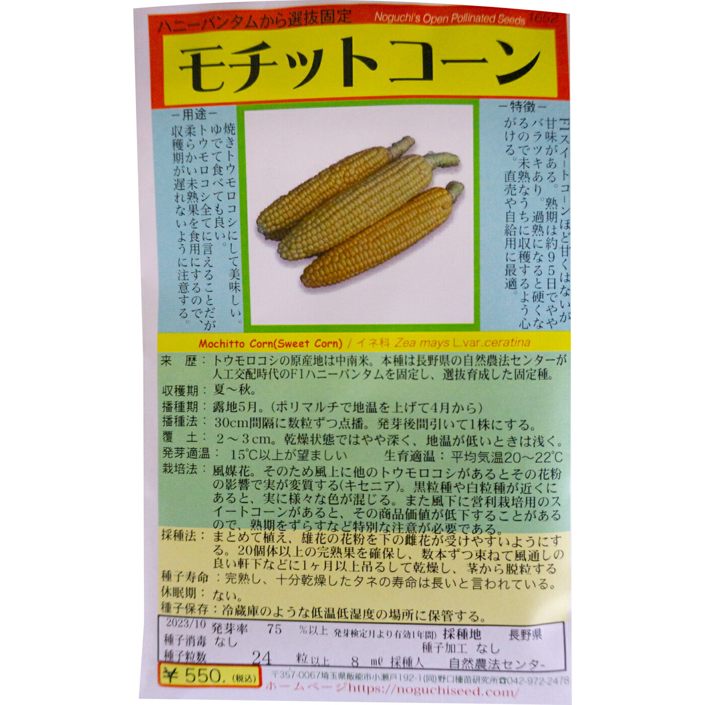 モチットコーン Mochitto Corn(Sweet Corn) イネ科 / Zea mays L.var.ceratina 国内採種品 野菜の種 野口種苗 野口の種 家庭菜園 有機栽培 ガーデニング 農業 園芸 無農薬 伝統野菜 在来種 プランター 安心 安全 ポタジェ ベランダ園芸