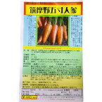 筑摩野五寸人参 有機 国内採種品 ちくまのごすんにんじん Chikumano Gosun Carrot / セリ科 Daucus carota 野菜の種 野口種苗 野口の種 家庭菜園 有機栽培 ガーデニング 農業 園芸 無農薬 伝統野菜 在来種 プランター 安心 安全 ポタジェ ベランダ園芸