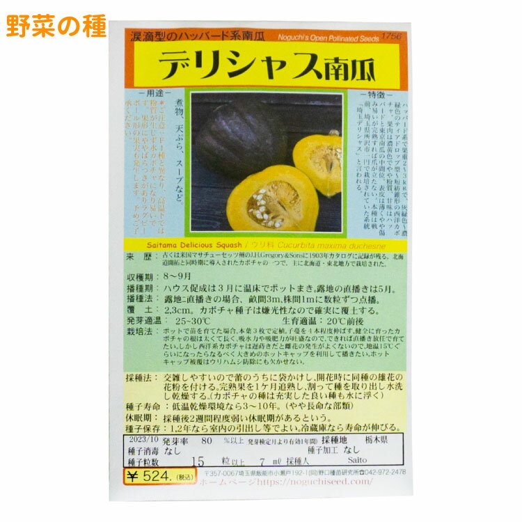 デリシャス南瓜 国内採種品 Saitama Delicious Squash / ウリ科 Cucurbita maxima duchesne 野菜の種 ..