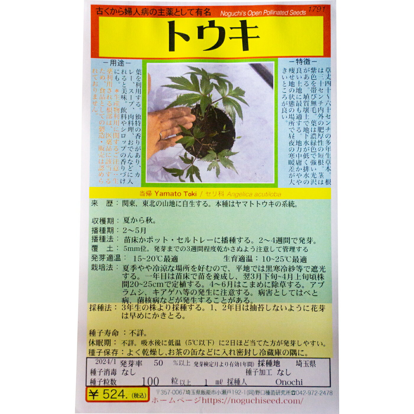 トウキ とうき 当帰 国内採種品 Yamato Toki / セリ科 Angelica acutiloba 野菜の種 野口種苗 野口の種 家庭菜園 有機栽培 ガーデニング 農業 園芸 無農薬 伝統野菜 在来種 プランター 安心 安全 ポタジェ ベランダ園芸