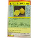 レモンドロップ西瓜 国内採種品 Lemon Drop Watermelon / ウリ科 Citrullus lanatus Matsui.et Nakai 野菜の種 野口種苗 野口の種 家庭菜園 有機栽培 ガーデニング 農業 園芸 無農薬 伝統野菜 在来種 プランター 安心 安全 ポタジェ ベランダ園芸